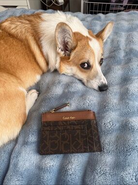 Calvin Klein Brown Tan Monogram Card Pouch